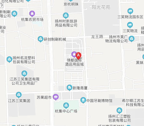 電子地圖
